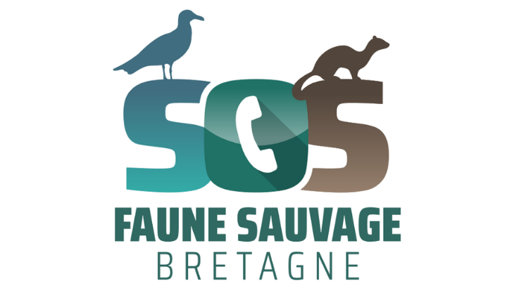 SOS FAUNE SAUVAGE : La newsletter des bénévoles rapatrieurs